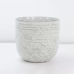 PHG 4.5"x4.5" Pebble Beach Planter White Daisy 8/CS