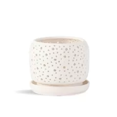 PHG 7.5"x6.5" Rain Drop Orchid Planter Sand Milky White