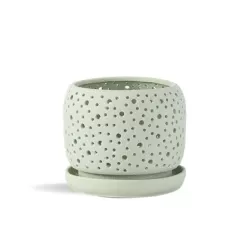 PHG 7.5"x6.5" Rain Drop Orchid Planter Sand Sage Green