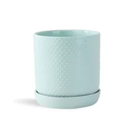 PHG 9"x9.5" Dotted Cylinder Planter Pastel Green Case of 4