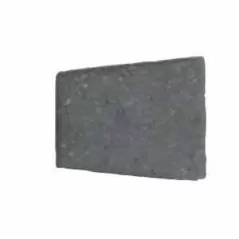 Paver Stone, Large Circle Minnesota River Cracovia Circle