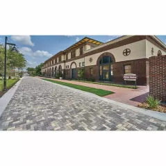Paver Stone, 4" x 8" Rectangular Winter Blend Holland
