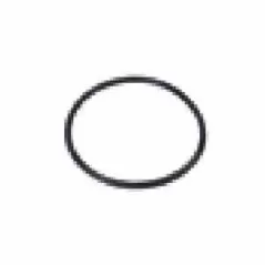 O-Ring, 3/4 - 1" For 1-1/2" and 2" Plastic Spin Clean Filters