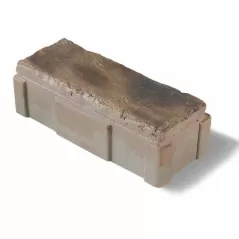 Paver, 3-7/8" x 9-7/8" x 2-3/4" Standard Heritage Clay Reala and Ultima Technology Town Hall Elegance