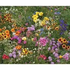 1 lb Annual Wildflower Mix Flower Seed