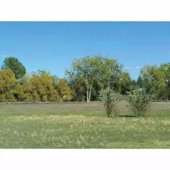 25 lb Bag Foothills Mix Grass Seed
