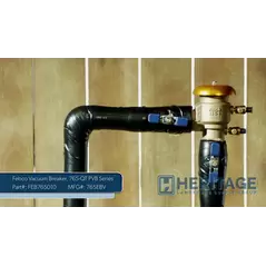 Febco 765 PVB Backflow Preventer 1" FPT