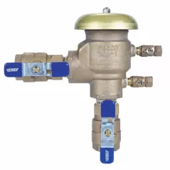 Febco 765 PVB Backflow Preventer 2" FPT