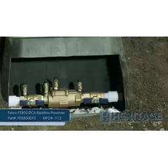 Febco FE850 DCA Backflow Preventer 1 in. FPT