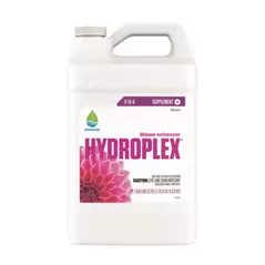 HYDROPLEX BLOOM 1GAL