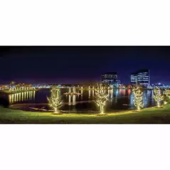 LED Balled Light Set, 26' Warm White Commercial Grade | LED-5MMB-50-WW
