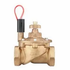Globe Valve, 2"FNPT Heavy-Duty Brass 150 - 1500 kPa IBV Series Factory-Installed Filter Sentry with Flow Control