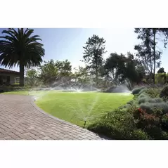 Hunter MP Rotator Side Strip Male Rotary Nozzle 5' x 30' | MPSSHT530