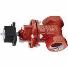 2" FNPT Red Epoxy Coated Cast Iron 200 psi 10RS Series Resilient Wedge Gate Valve | MAT10RS08
