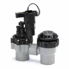 Rain Bird ASVF Anti-Siphon Valve with Flow Control 1" FPT | RBL100ASVF