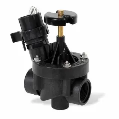 Rain Bird PESB In-Line Valve with Scrubber and Flow Control 1" FPT | RBL100PESB