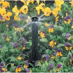Rain Bird MPR Half Circle Nozzle 10' | A47016
