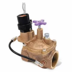 Rain Bird EFB-CP In-Line Valve with Flow Control 2" FPT | RBL200EFBCP