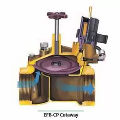 Rain Bird EFB-CP In-Line Valve with Flow Control 2" FPT | RBL200EFBCP