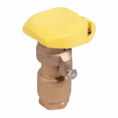 Rain Bird Quick Coupling Valve, 3/4" Npt Red Brass 5 - 125 Psi 2-Pc | B11502