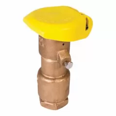 Rain Bird QCV Two Piece Quick Coupling Valve 1" x 3/4" | RBL44RC