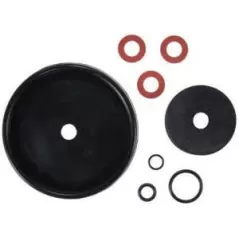 3/4" Vacuum Breaker For Champion 466 Series Vacuum Breaker Repair Kit | RCORPK072