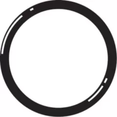 Sch. 80 Union O-Ring 3" Viton | 80235
