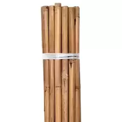 Grower's Edge Natural Bamboo 6 ft Bulk (50/Pack)