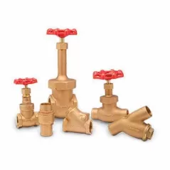 2" FIPS Forged Brass 125/200 psi 07 Series Gate Valve | KTZ07200