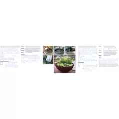 32" 20 gal Terra Cotta European Patio Pond | AQS98858