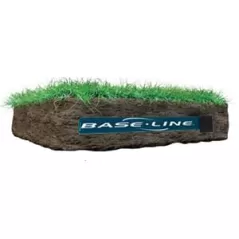 Wired 14.95" x 2.25" x 0.075" Blue Fiberglass Soil Moisture Sensor | BLNBL5315B