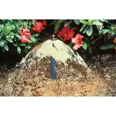 Rain Bird Adjustable Flood Bubbler 1 - 2.3 Gpm | A16001