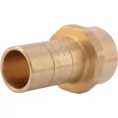 3/4" CTS x FNPT Copper Adapter | RELU766LF