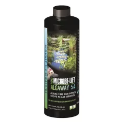 16 oz Pale Yellow Liquid Mild Inoffensive Odor Algaecide | MICALGA16