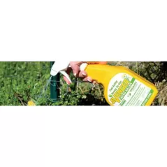 1 gal Liquid Organic Non-Selective Weed Killer | AVNWKCGAL