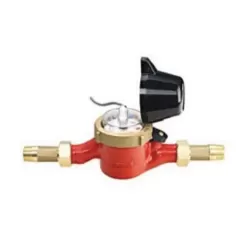 15.4 gpm 140 psi 1" Female Thread Reed Switch Register Water Meter | NETWM10010RSM