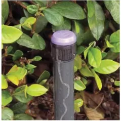 1/2" FIPT 4 gph Plastic Silicone Diaphragm Pressure Compensating Non-Effluent Drip Bubbler | TOLLF40PC