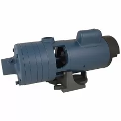 CJ101 Multi-Stage High Pressure Centrifugal Pump, 2 hp 115/230 V FW | CJ101C201AB