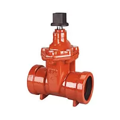 2-1/2" Push-On Fusion-Bonded Epoxy Coated Lead-Free Cast Iron 250 psi P-619-RW Series Resilient Wedge Gate Valve | NIBP619RW025