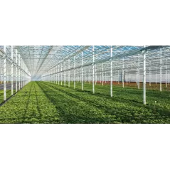 10 lb TM 4.5F Select, Broad Spectrum Systemic Fungicide
