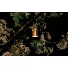 12 W Incandescent Copper LS Series Down Light | FXLLS12CU