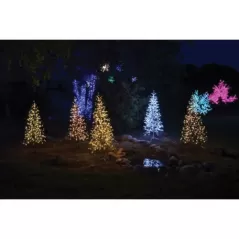 5.5' Champagne Strobe LED Birch Tree | HBLBRCHT55WPC