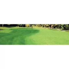 2.5 Gallon Liquid Natural Green 8000 to 12000 sq-ft Coverage Lawn Paint | GREENLAWNGER025G