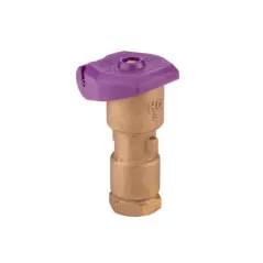 1" Female Threaded Red Brass/Stainless Steel 1-Piece Quick Coupling Valve | HTRHQ5LRCR