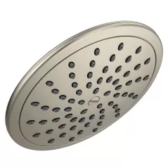 1/2" IPS 8" Plastic Brushed Nickel Standard Spray Head | MON6345BN