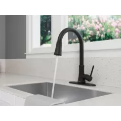 1/2" NPSM 16-1/8" Zinc Matte Black 1-Handle Pfirst Series Pull-Down Kitchen Faucet | PPFG529PF2B