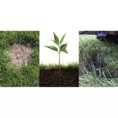 2.5 gal Liquid Black Flowable Soil Amendment