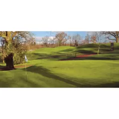 1 Gallon Liquid Green Pigment Additive | SSCTEETIMEGAL