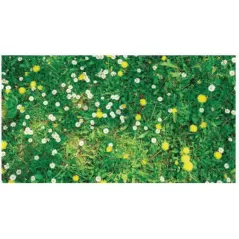 1 gal Triad SFZ Select Herbicide