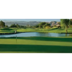 1 qt Liquid Green Pond Dye | SSCTURFMARKGQT
